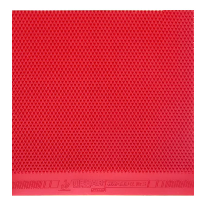 TIBHAR Grass D.TecS Tischtenni – Table Tennis Club Bewertung und Preis